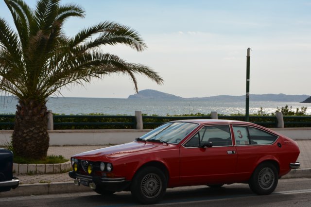 dsc_0617.jpg