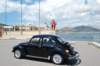 dsc_0317_small.jpg