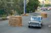 dsc_0347_small.jpg