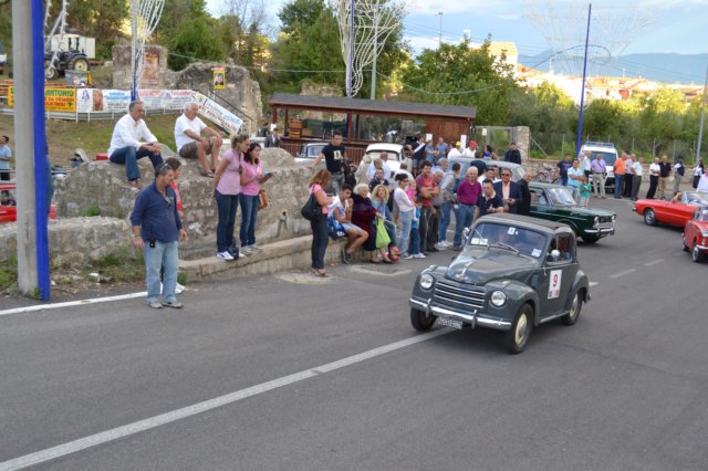 dsc_342.jpg