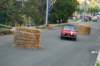 dsc_351_small.jpg