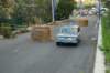 dsc_355_small.jpg