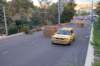 dsc_357_small.jpg
