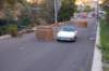dsc_361_small.jpg