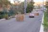 dsc_367_small.jpg