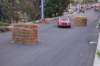 dsc_369_small.jpg