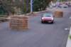 dsc_371_small.jpg