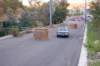 dsc_373_small.jpg
