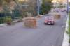 dsc_375_small.jpg