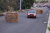 dsc_379_small.jpg