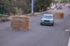 dsc_383_small.jpg