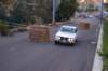 dsc_385_small.jpg