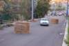 dsc_387_small.jpg