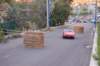 dsc_389_small.jpg