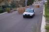 dsc_391_small.jpg