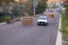 dsc_393_small.jpg