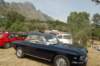 sett201151_small.jpg